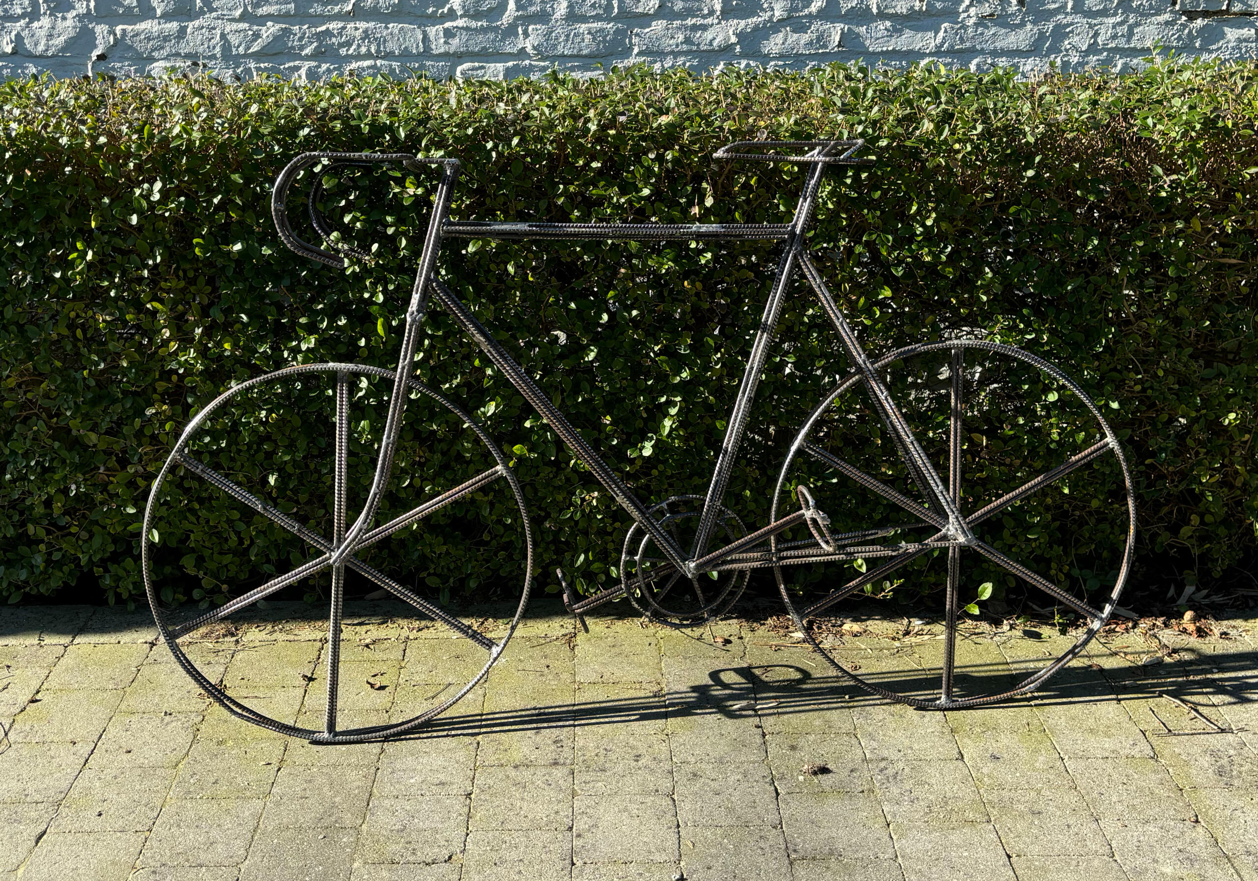velo velo